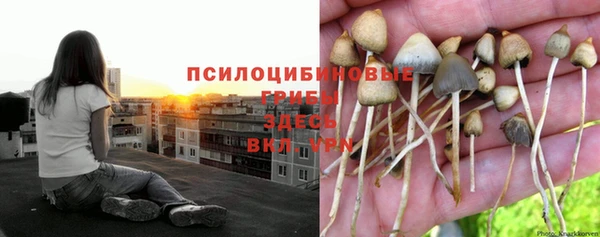 герыч Нягань