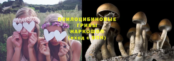 бутират Нязепетровск