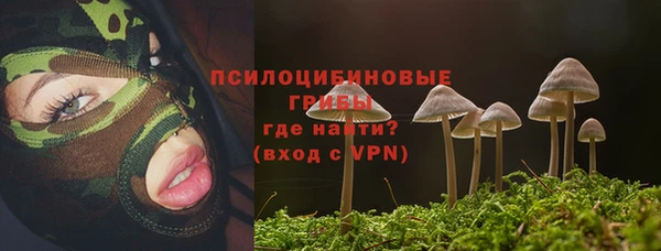 индика Остров