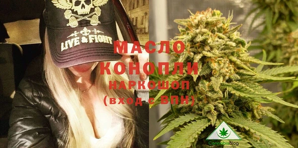 индика Няндома