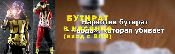 индика Няндома
