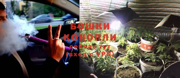 индика Няндома