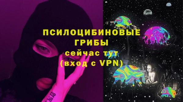 гидра Бородино