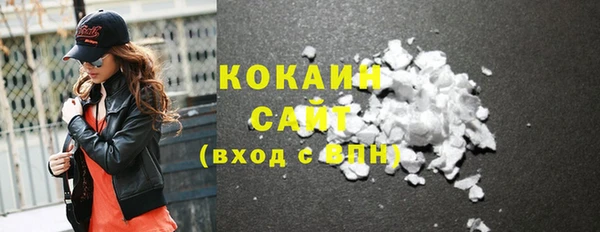 индика Няндома