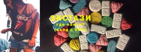 индика Няндома