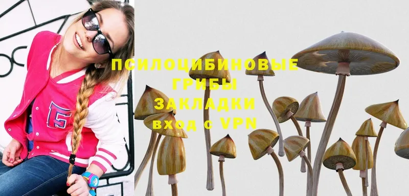 Галлюциногенные грибы MAGIC MUSHROOMS  Кулебаки 