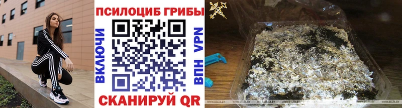 Псилоцибиновые грибы ЛСД  Кулебаки 