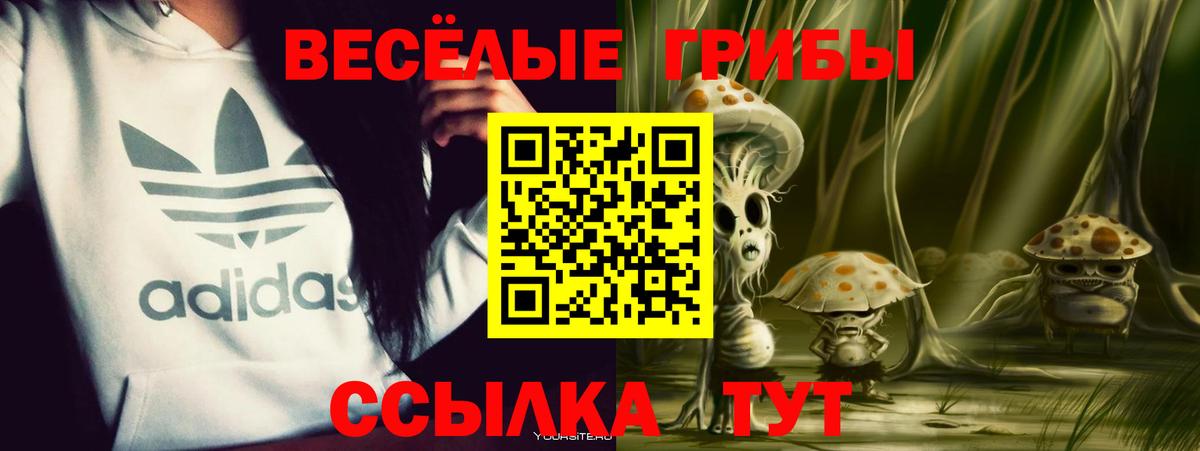 Псилоцибиновые грибы Cubensis  купить   Кулебаки  Галлюциногенные грибы MAGIC MUSHROOMS  Вход с VPN 