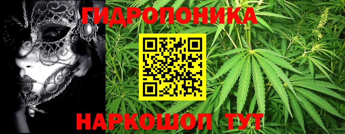 Шишки марихуана семена  Шишки марихуана сатива  Кулебаки  Бошки Шишки VHQ  Вход с VPN 